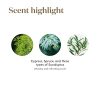Young Living R.C. Essential Oil Blend 15ml
