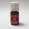 Young Living Christmas Spirit 5ml