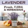 Mrs. Meyer's Liquid Dish Soap, Biodegradable Formula, Lavender, 16 fl. oz - Pack of 3
